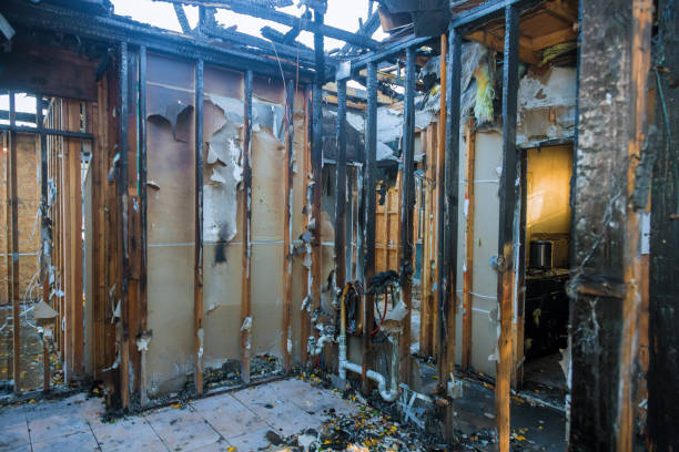 Professional Fire Damage Removal technician working in Halethorpe, MD