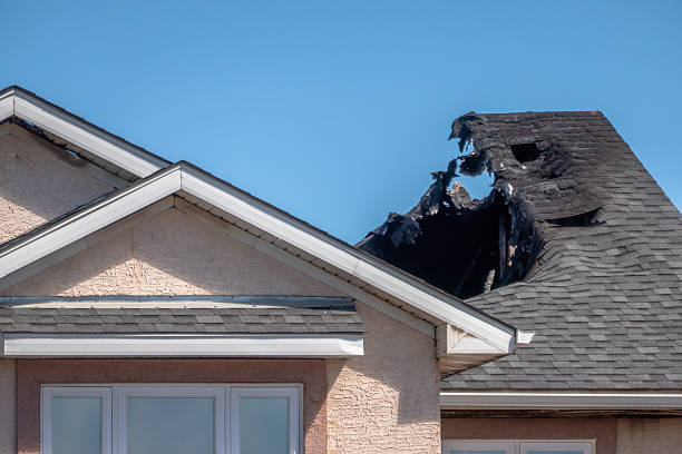 Top rated local Fire Damage Removal specialists in Halethorpe, MD